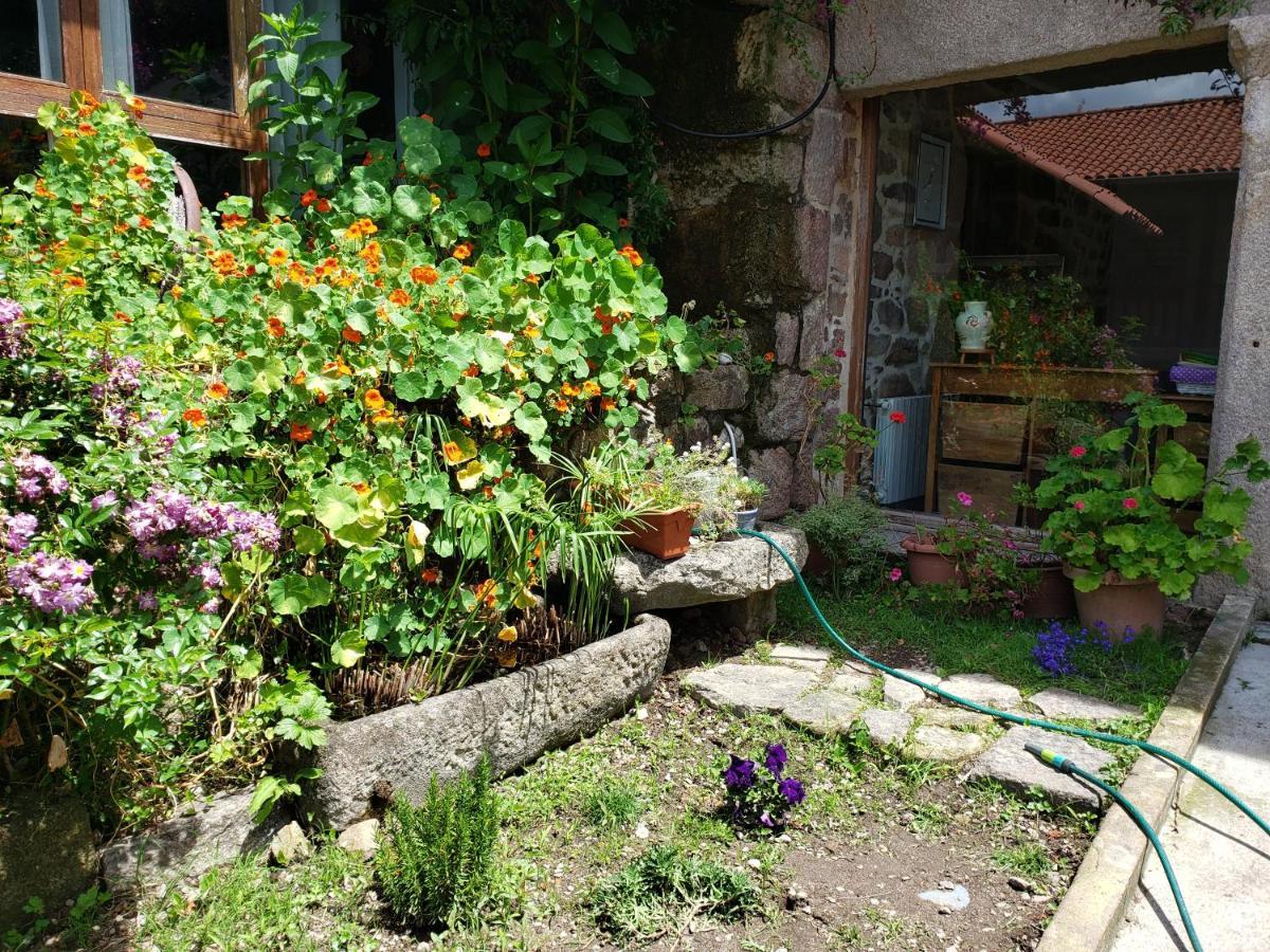 Casa Rural Do Fontan Pontevedra Exterior photo